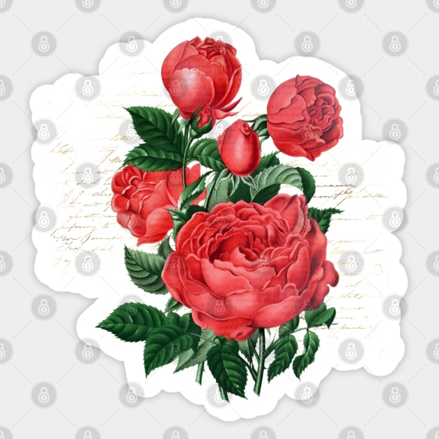 Red Rose Flower with Love Letter Sticker by Biophilia